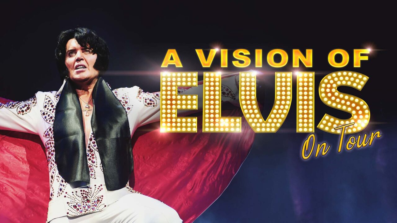 A Vision Of Elvis