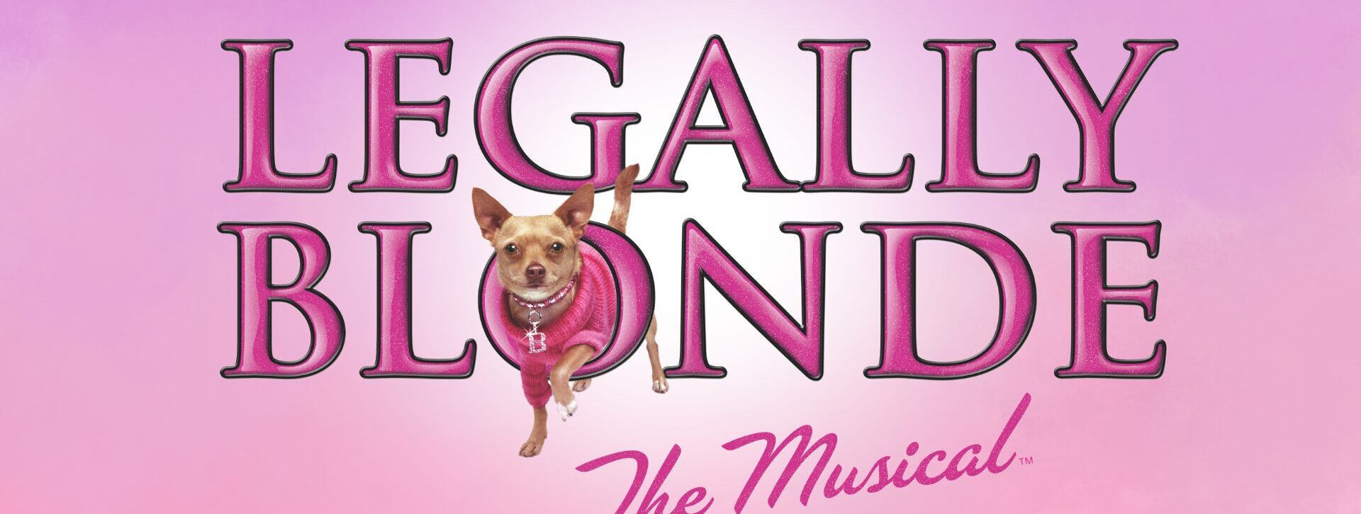 Petroc Performing Arts: Legally Blonde The Musical!