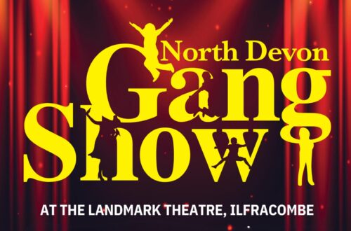 North Devon Gang Show 2025